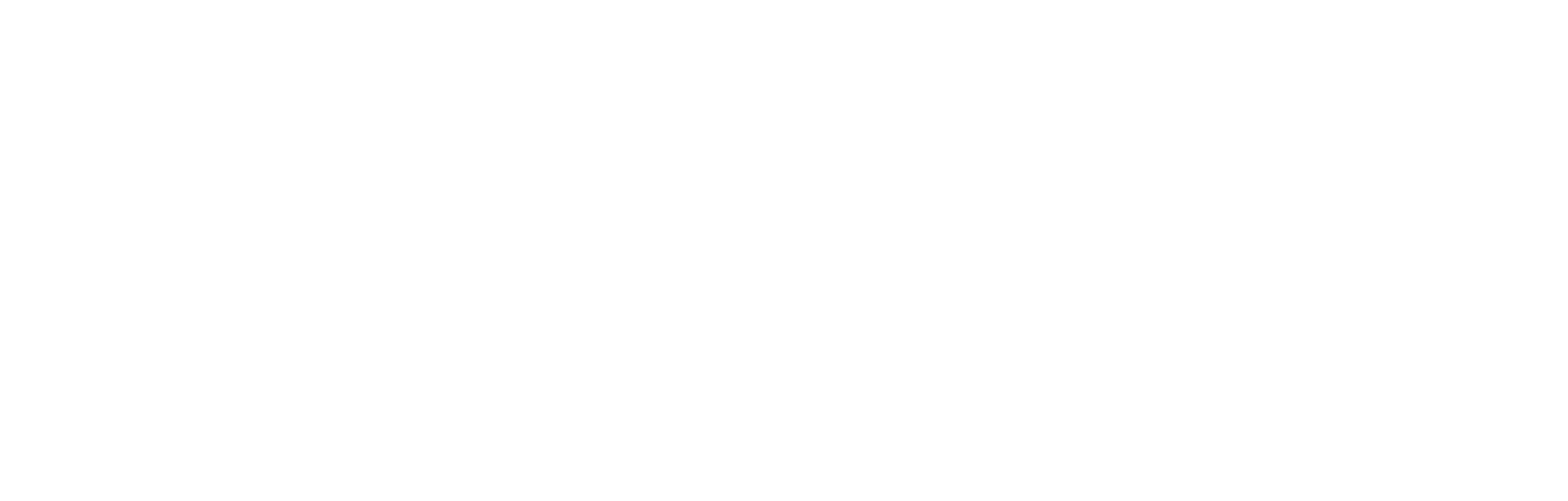 AV NETO Transportes LTDA